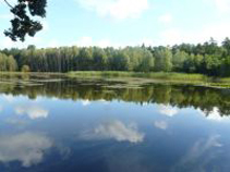 Reudnitzer Teiche, Dahlener Heide