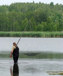 Erfassung der Fischfauna, hier mit der Senke