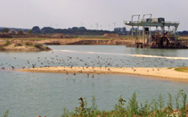 Kiesgrube Liebersee