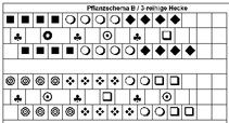 Pflanzschema